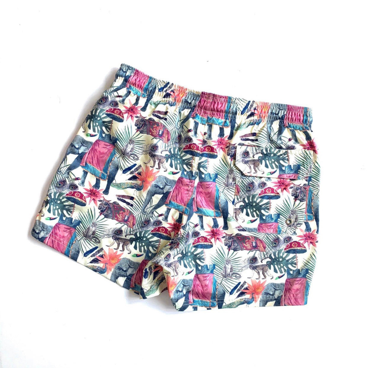 MEN ELEPHANTS SWIM TRUNK